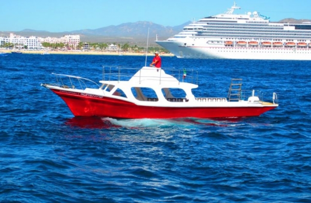 Embarcaciones para visitas guiadas